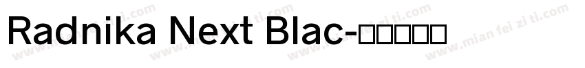 Radnika Next Blac字体转换